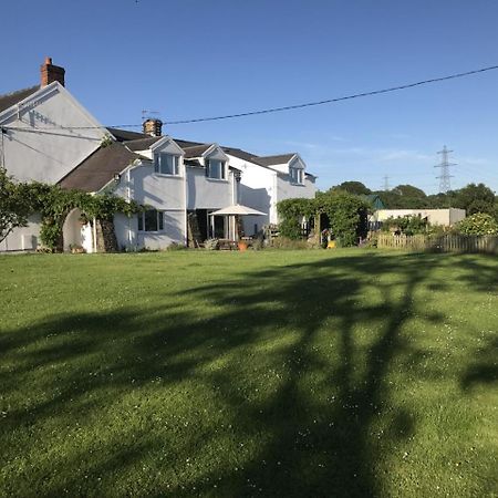 Brynawel Farm B&B Pontlliw Dış mekan fotoğraf