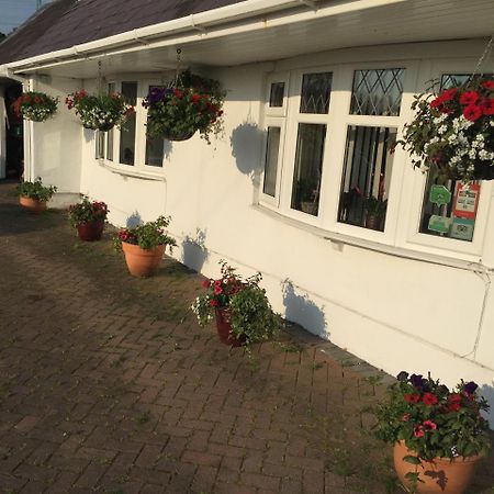 Brynawel Farm B&B Pontlliw Dış mekan fotoğraf