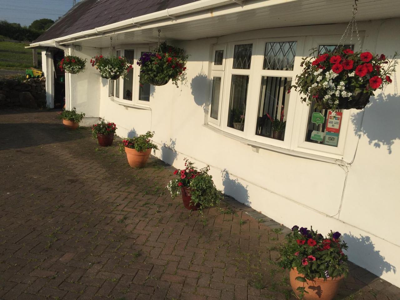 Brynawel Farm B&B Pontlliw Dış mekan fotoğraf